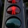forex signals